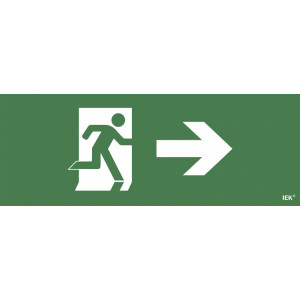 Этикетка самокл. 350х130мм 