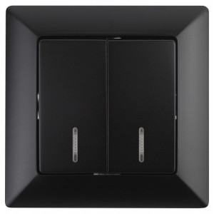4-105-05 Выключатель двойной с подсветкой, 10А-250В, СУ, Solo, антрацит (10/200/2 Б0043295