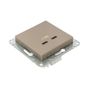Механизм розетки USB-C - 2шт, шампань Эпика EKF UP1-SOC-2USBC