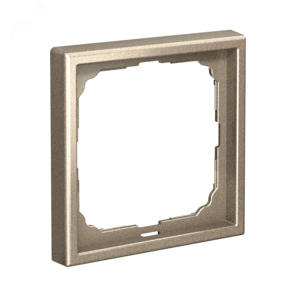 Изображение товара Рамка 1-м ArtGallery шампань SE GAL000501 для фотографий и постеров