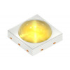 GW QSSPA1.WB-LUMU-MCML-1