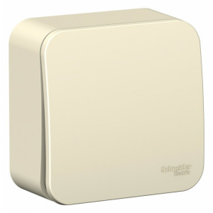 BLANCA О/У 1-клавишный ВЫКЛЮЧАТЕЛЬ (cх.1) ИЗОЛ.ПЛ., 6А, 250В, МОЛОЧНЫЙ C2 BLNVA061012