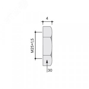 Гайка M25x1,5 нержавеющая сталь AISI 316L 6006-25XX
