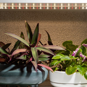 Светильник для растений, фитолампа светодиодная линейная FITO-10W-Т5-Ra90-Slim полного спектра 10 Вт Т5 Б0057400