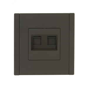 FORTE&PIANO Розетка компьютерная двойная RJ45 кат.5E FP333 серый IEK FP-K20-1-K03