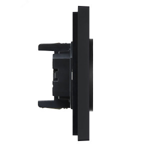 FORTE&PIANO Розетка 2-местная без заземления с защитными шторками безвинтовое крепление 10А FP125 черный IEK FP-R23-10-1-K02