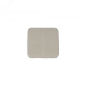 Выключатель 2-кл. ОП Blanca 10А IP20 (сх. 5) 250В с изолир. пластиной беж. SE BLNVA105017