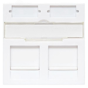 Вставка розеточная 45х45мм формат Mosaic на 2 модуля Keystone защ. шторки с маркерами бел. TERACOM PRO TRP-INS-MOS-2M2P-WH