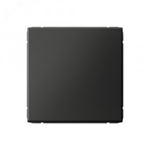 ARTGALLERY 1-клавишный выключатель кнопочный, 10А, механизм, базальт GAL001415