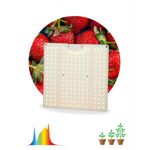 Квантум борд FITO-80W-LED-QB Quantum board фитопрожектор полного спектра 80 Вт 3500К Б0053285