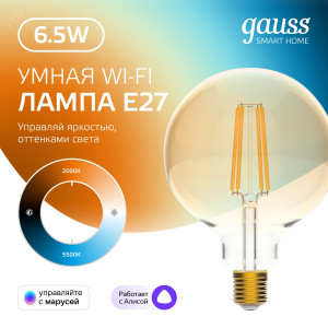 Лампа светодиодная филаментная Smart Home DIM+CCT E27 G95 Golden 6,5 Вт 2000-5500 К 1/40 1340112
