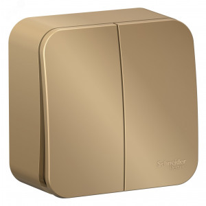 Выключатель 2-кл. ОП Blanca 10А IP20 (сх. 5) 250В с изолир. пластиной титан SE BLNVA105014