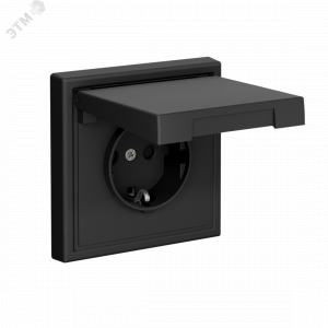 ARTGALLERY РОЗЕТКА с заземл. со шторк. с крышк., 16А, IP20,  механизм, быстрозажимные клеммы, карбон GAL001046S