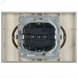 Розетка 2-м СП BRITE РСш12-3-БрА 16А в сборе с заземл. защ. шторки алюм. BR-R24-16-K47-F