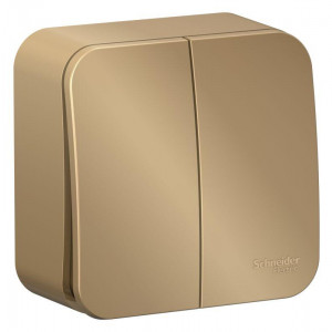 Выключатель 2-кл. ОП Blanca 10А IP20 (сх. 5) 250В с изолир. пластиной титан SE BLNVA105014