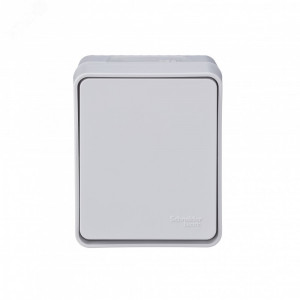 Переключатель проходной 1-кл. ОП AtlasDesign Profi54 IP54 10AX бел. SE ATN540161