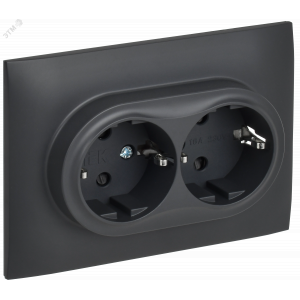 SKANDY Розетка 2-местная с заземлением с защитными шторками 16А в сборе SK-R07T титан IEK SK-R24-16-K48-F