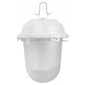 Светильник НСП 02-100-001 без решетки Желудь сталь / стекло IP54 E27 max 100Вт 170х260 белый Б0052017