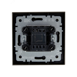 BRITE Выключ. 1-кл. 10А в сб. ВСР10-1-0-БрШ шамп. BR-V10-0-10-K37-F