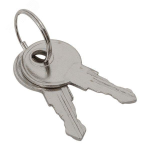 Ключ для замка (арт. 18-20/38-ip31) PROxima key-1