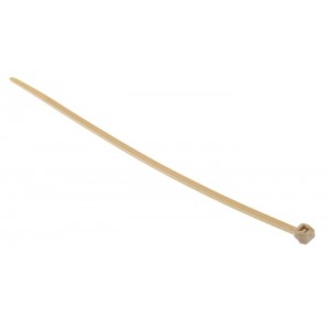 118-00032 PT2A-PEEK-BGE