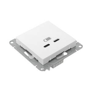 Механизм розетки USB-C - 2шт, белый Эпика EKF UP1-SOW-2USBC