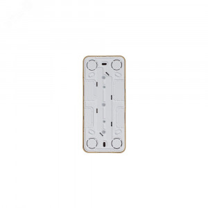 Розетка 3-м ОП Blanca 16А IP20 250В с заземл. защ. шторки с изолир. пластиной ясень SE BLNRA011315