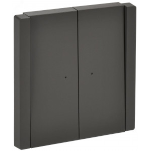 FORTE&PIANO Выключатель 2-клавишный проходной с индикацией 10А FP308 серый IEK FP-V22-1-10-1-K03