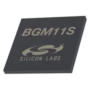 BGM11S12F256GA-V2R