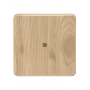 Коробка распаячная КР 100х100х29 ОП сосна IP40, инд. штрихкод SQ1401-0407