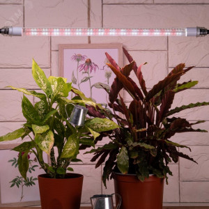 Лампа светодиодная FITO-9W-Ra90-Т8-G13-NL 9Вт T8 линейная 46LED 2835 IP20 35000ч для растений полноспектральная стекло Б0042988