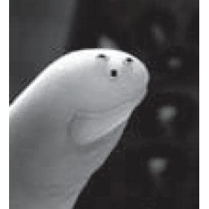 SM06104410, Промышленные температурные датчики 100Kohm B-4110K SMD 0603