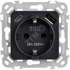 FLITE Розетка 1-местная с заземлением с защитными шторками 16А с USB A+C 20Вт безвинтовое крепление РСЮшс11-1-ФлЧ черный IEK FI-R14-16-1-U22-020-K02