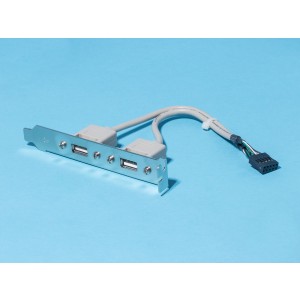 SCUA-22, Планка USB, 2 порта тип А - BLD-10
