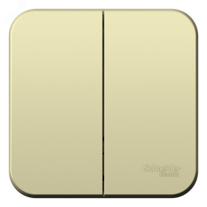 Выключатель 2-кл. ОП Blanca 10А IP20 (сх. 5) 250В с изолир. пластиной беж. SE BLNVA105017