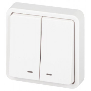 Выключатель Эксперт 11-1525-01 двойн. с подсветкой IP55 10АХ-250В СУ бел. Эра Б0063304