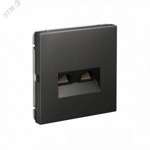 ARTGALLERY РОЗЕТКА двойная компьютерная RJ45+RJ45, кат. 5е, механизм, БАЗАЛЬТ GAL001485