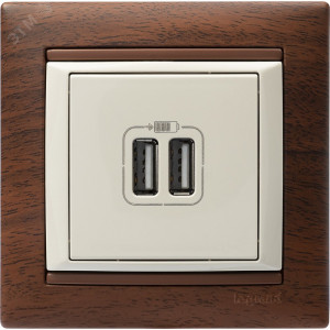 VALENA Розетка двойная USB слоновая кость 774170