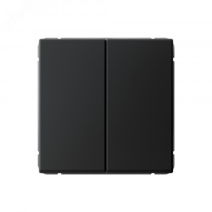 ARTGALLERY 2-клавишный ПЕРЕКЛЮЧАТЕЛЬ, 10АХ, механизм, быстрозажимные клеммы, КАРБОН GAL001065S