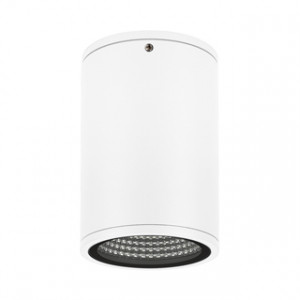 Светильник LGD-FORMA-SURFACE-R90-12W Day4000 (WH, 44 deg, 230V) 037259, Накладной светильник 12Вт, белый алюминиевый корпус, оптическое закаленное стекло. Цвет ДНЕВНОЙ 4000K, св.поток 790лм, CRI(Ra)>80, угол 44°. Размер Ф90x137мм. IP54. Питание AC230V, 12Вт, встроенный драйвер 30-42 В, 300 мА.