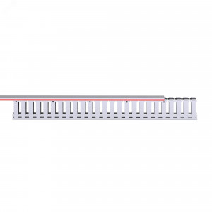 Кабель-канал перфорированный 40х60 RL12 G 00107RL