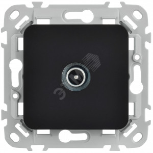 FLITE Розетка TV экранированная проходная тип M РТВм-1-1-2-ФлЧ черный IEK FI-A13-P-K02