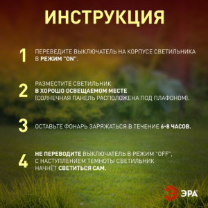 Светильник светодиодный садовый ERASS12-03 