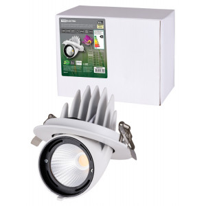 Светильник встраиваемый поворотный "Акцент-1" LED DSL-01-030-WW 30 Вт, 24°, 3000 К, 90 Ra, IP40, SQ0369-0401