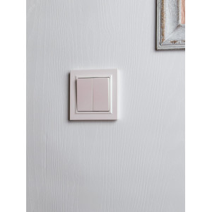 BRITE Выключ. 2-кл. 10А в сб. ВСР10-2-0-БрЖ жемч. BR-V20-0-10-K36-F