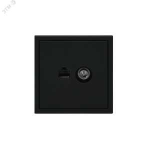 Розетка компьютерная + телевизионная 2-м ArtGallery RJ45 + TV кат.5E карбон SE GAL001089