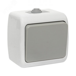 Выключатель 1-кл. ОП Мурманск 10А IP54 сер. EFV10-021-30-54