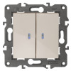 14-1105-02 Выключатель двойной с подсветкой, 10АХ-250В, IP20, Elegance, сл.кость (10/100/160 Б0034238