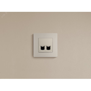 Розетка компьютерная 2-м СП 672355