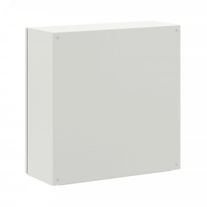 Корпус навесной STE с М/П ВхШхГ 600x600x250 мм R5STE0669